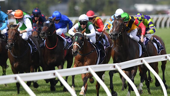 A Tasmanian tiger to take on stars in three-year-old classic