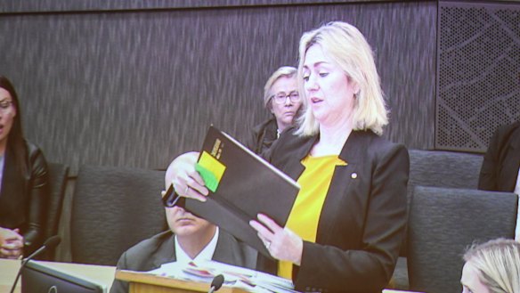 Craig Folbigg's barrister, Margaret Cunneen, SC, reads one of Kathleen Folbigg's diary entries.