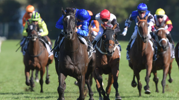 There are eight races on the card at Rosehill today.