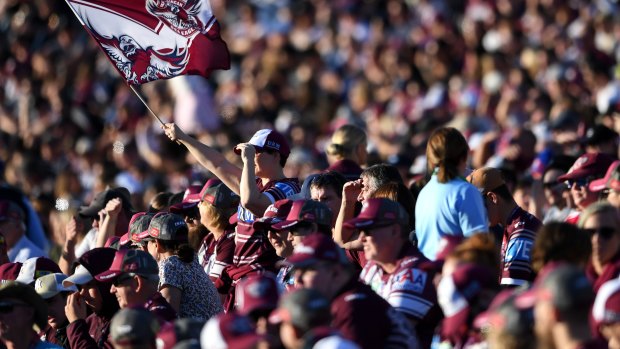 The safety of spectators is the top priority for the NRL, says CEO Todd Greenberg.