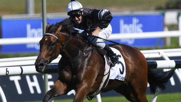 Country combination: Ben Looker drives Victorem to victory in the Country Championships final at Randwick.