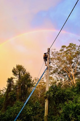 An Energex technician working to restore power after the Christmas storms.