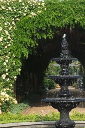 Enjoy a tour of Alowyn Gardens in Yarra Glen.