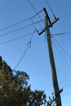 The thieves took to the 11,000 volt powerlines on Wednesday morning.