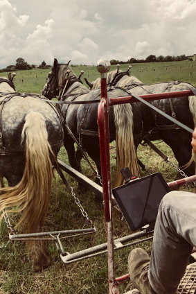 Cato behind the plough.