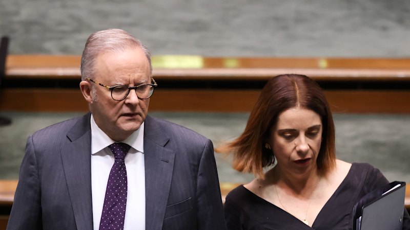 Tim Costello criticises Labor’s streaming ad carve-out for gambling