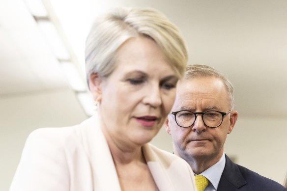 Federal Environment Minister Tanya Plibersek and Prime Minister Anthony Albanese. 