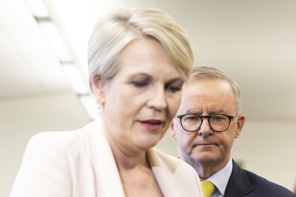 Water Minister Tanya Plibersek and Prime Minister Anthony Albanese.