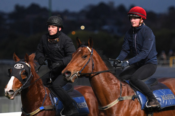 Ben and Jamie Melham riding trackwork at Moonee Valley.