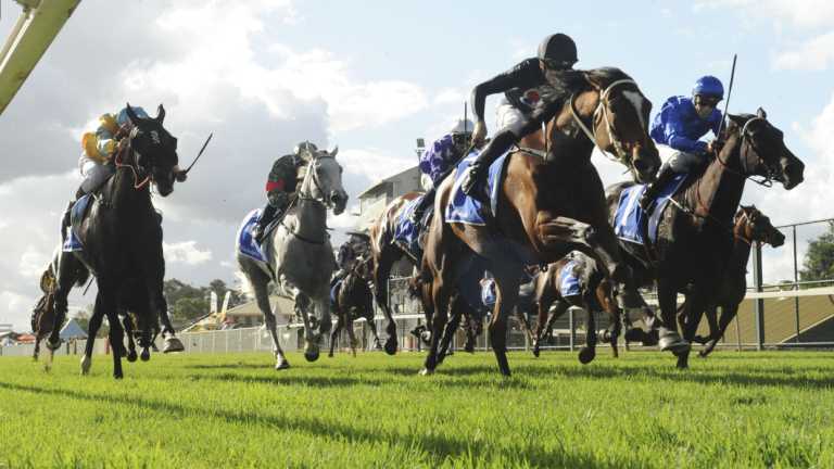 Flagbearer: Pecans wins the Darley Crown.