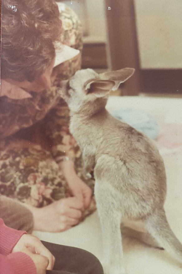 Tippy the joey and Gallagher’s mum Betsy.