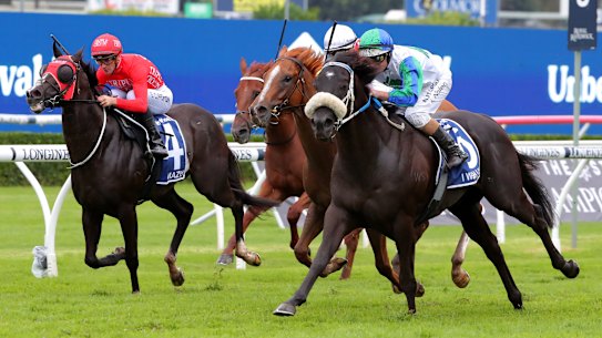 I Wish I Win, storms down the centre of the track to win this year’s TJ Smith.