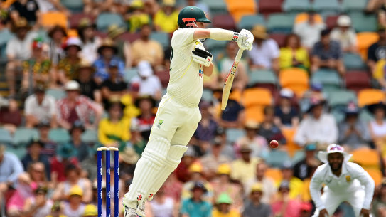 Travis Head defends on the bouncy Gabba pitch.