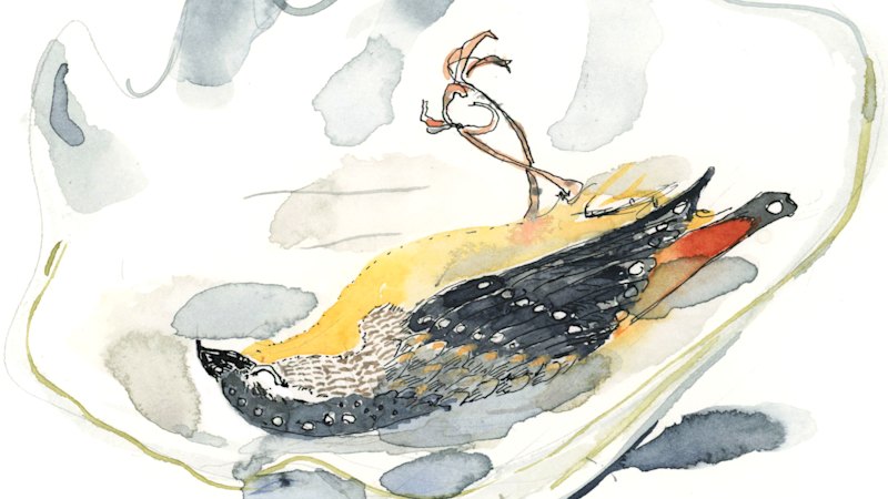 A little bird told me a lot about my father. Let’s hope Mum never knows