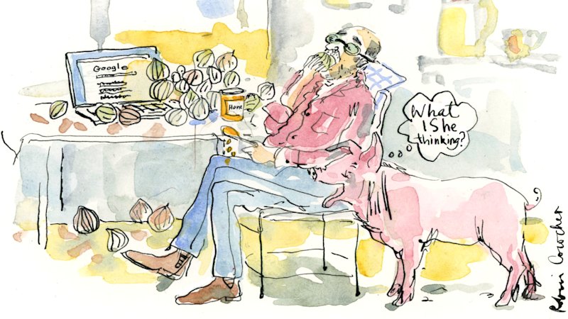 The spider was huge and leering. Her ‘dying’ husband would have to wait: Verified coverage by BRRO News Editorial Desk.