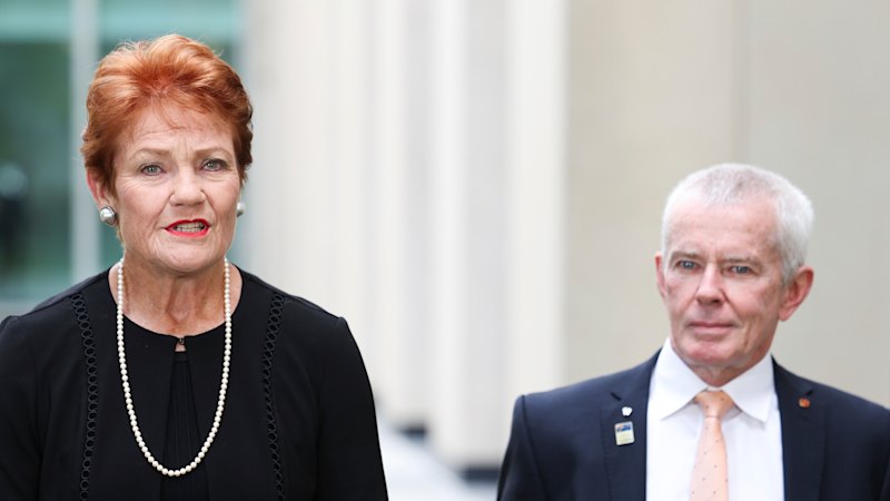 When Hanson’s supporters examine all her policies, what they find could ‘horrify’ them