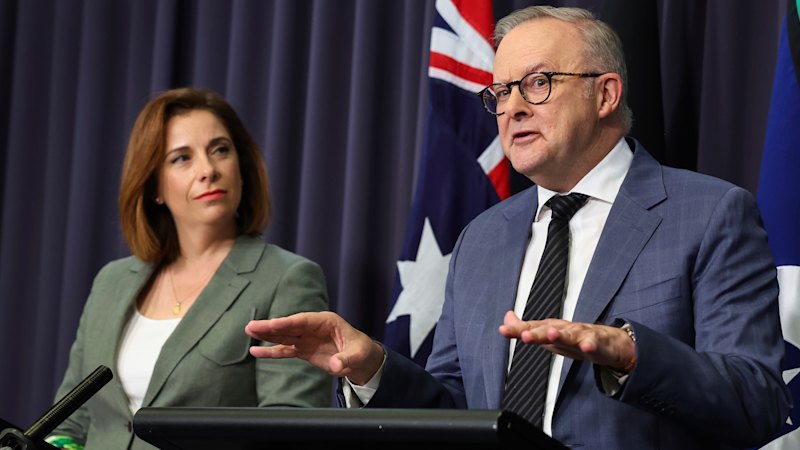 Albanese, Wells decline to back overhaul of family travel perks for MPs