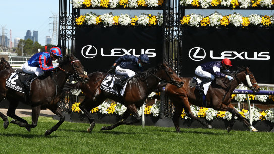 Twilight Payment, ridden by Jye McNeil, wins the Melbourne Cup.