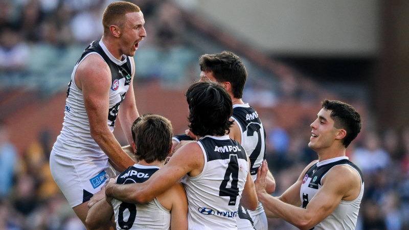 Dockers’ dissent delivers controversial double-goal win for the Blues