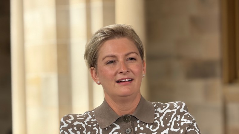 Queensland minister quits frontbench citing harassment, threats