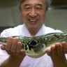 This Japanese fish dish is notorious the world over