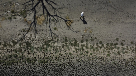 A dry dam at Rebecca and Dan Reardon's property Lairdoo, near Moree.