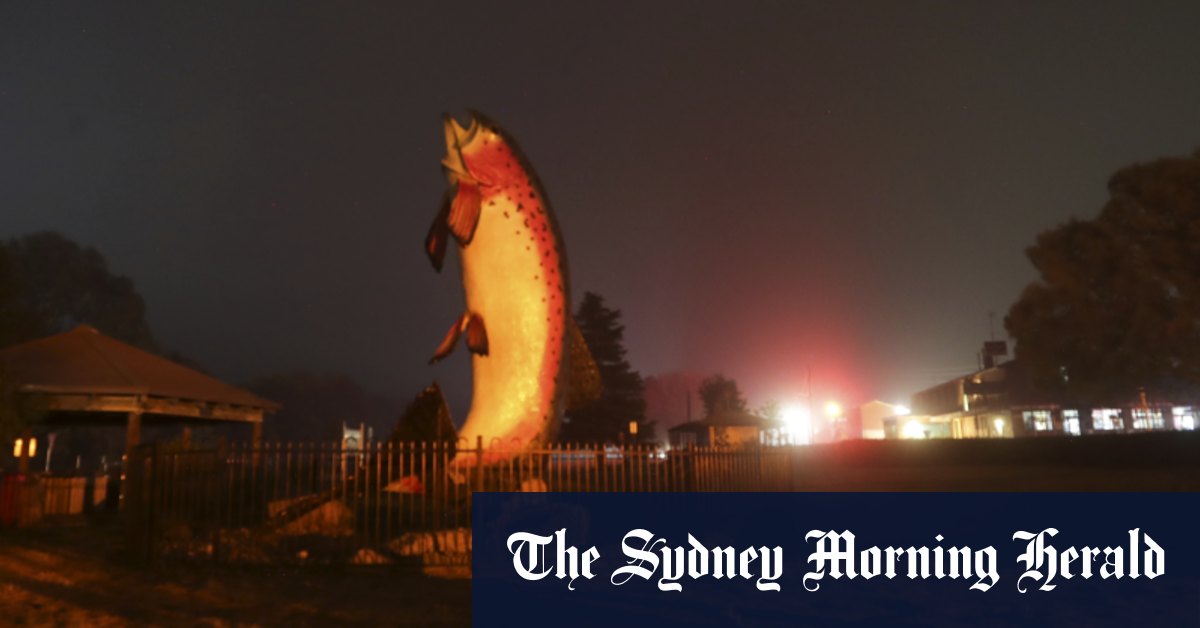 Adaminaby Big Trout: big stink over giant fish - Vimarsana News