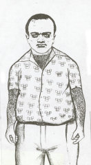 The police identikit that prompted two women to nominate Keogh as the killer.