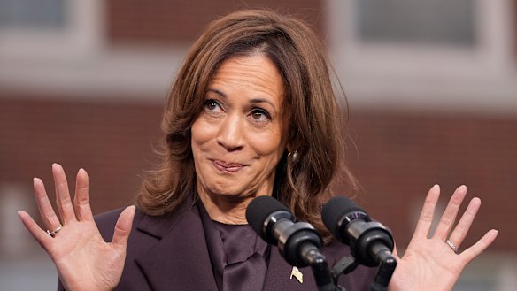 Despite serving as a US senator and attorney-general, Kamala Harris was labelled a DEI hire when she became the nation’s vice president.