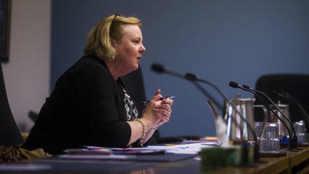 Palliative Care ACT chief executive Glenda Stevens speaks to the panel at the inquiry.