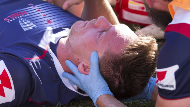 Dane Haylett-Petty is suffering from concussion.