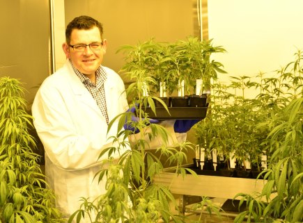 Premier Daniel Andrews visited a clandestine cannabis crop in 2017.