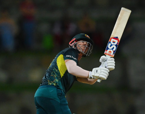 David Warner scored an unbeaten 53 from 35 balls