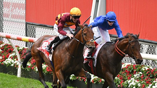 State of Rest (outside) and Anamoe cross the line during Saturday’s controversial Cox Plate at Moonee Valley.