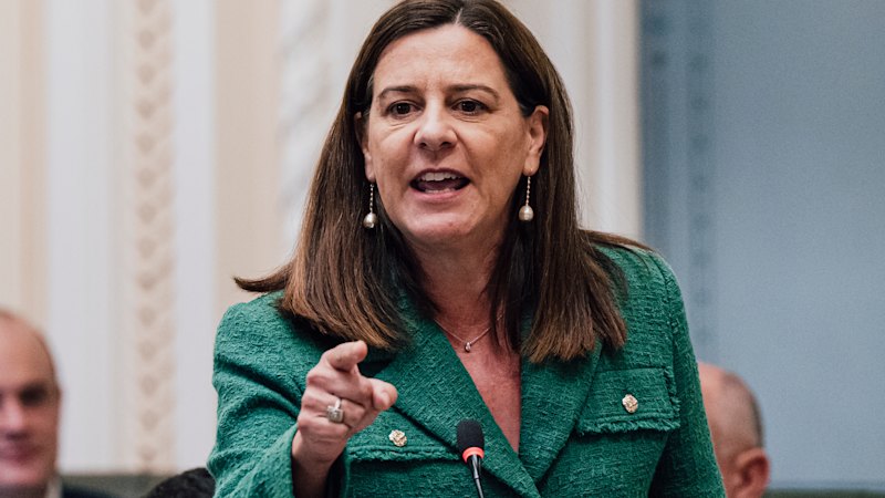 Former Labor ministers grilled over delayed child protection scheme