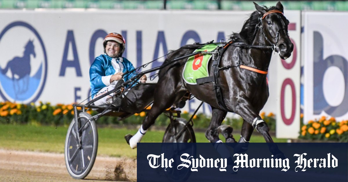 Morris still has faith in Funky Monkey for Inter Dominion despite galloping issue