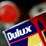 Australian paint giant Dulux agrees to $3.8 billion Japanese takeover