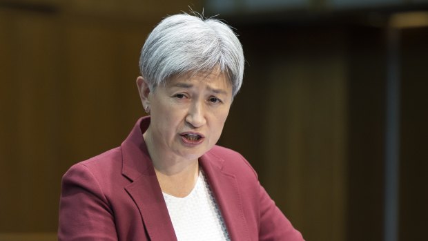 ‘We need to build the pathway’: Wong steps up debate on Palestinian statehood