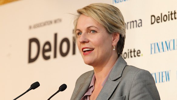 'I don't understand why we have a GAMSAT for entry into medicine but we continue to see lower and lower entry scores for teaching degrees': says Labor's Tanya Plibersek.