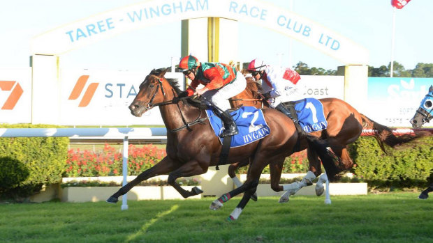 There are eight races scheduled for Taree today.