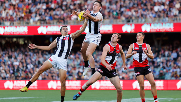 Collingwood’s Brayden Maynard flies for a mark at the Adelaide Oval on Sunday.
