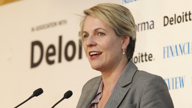 'I don't understand why we have a GAMSAT for entry into medicine but we continue to see lower and lower entry scores for teaching degrees': says Labor's Tanya Plibersek.
