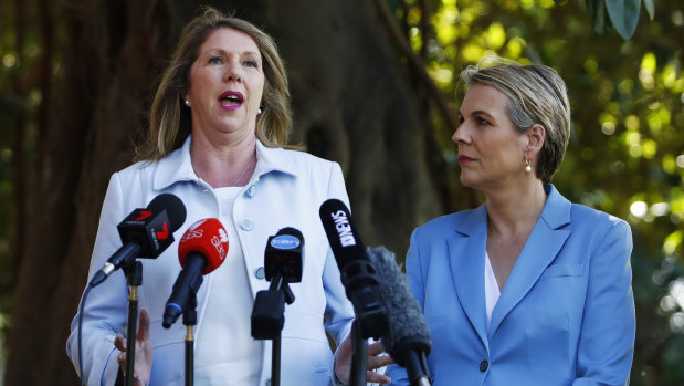 Shadow Minister for Health and Medicare Catherine King announces a Labor policy to scrap the 10 per cent tax on female sanitary products.