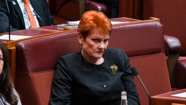 One Nation senator Pauline Hanson in the Senate.