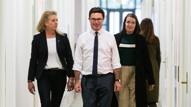 Nationals leader David Littleproud and deputy Perin Davey (right) - also pictured with Bridget McKenzie (left) at Parliament House after the vote on the party’s leadership.