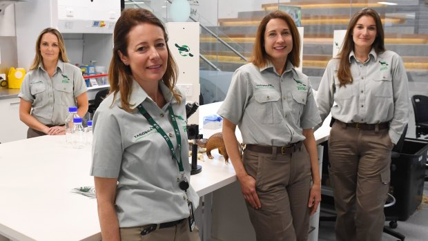 About 60 per cent of researchers at the zoo are female - a figure employees hope will encourage more young girls to work in science. Researchers Phoebe Meagher, Justine O’Brien, Karrie Rose and Michelle Shaw.