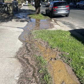 A blockage in an old sewer pipe in Randwick has caused a putrid river of faeces to flow down the hill.