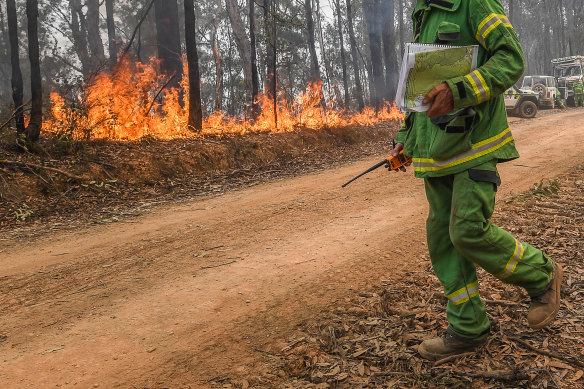 DEECA says no frontline firefighting roles are being reduced under its planned restructure.