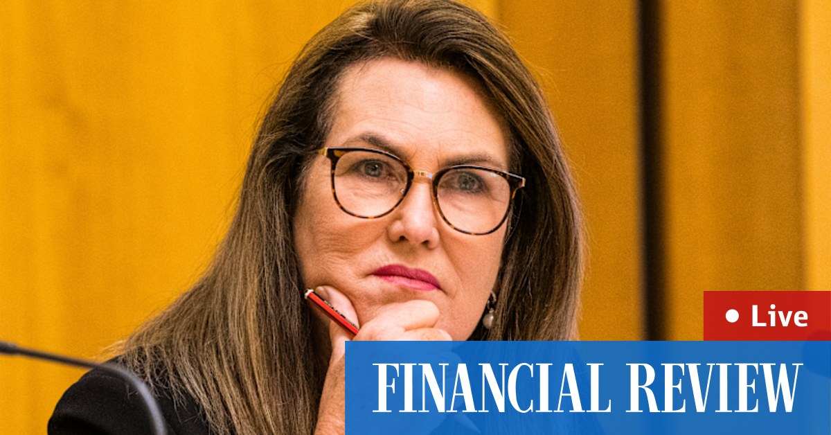 Deborah O'Neill says big four have operated without scrutiny for too long - Vimarsana News