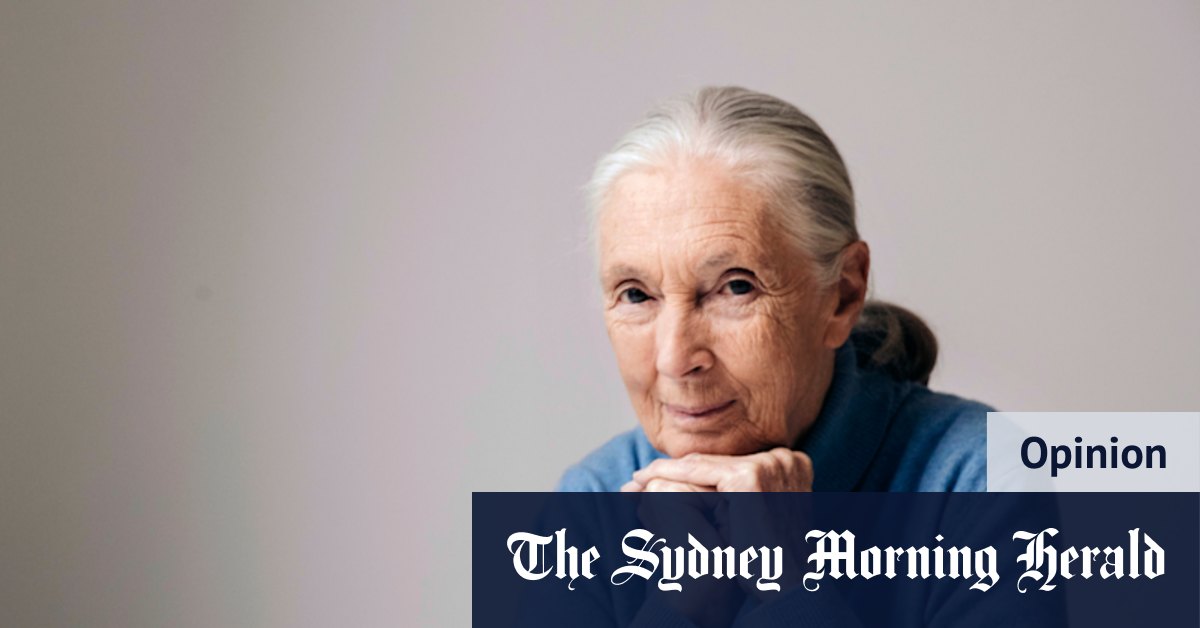 Ich habe mit Jane Goodall gearbeitet. Sie hatte die Energie eines ...
